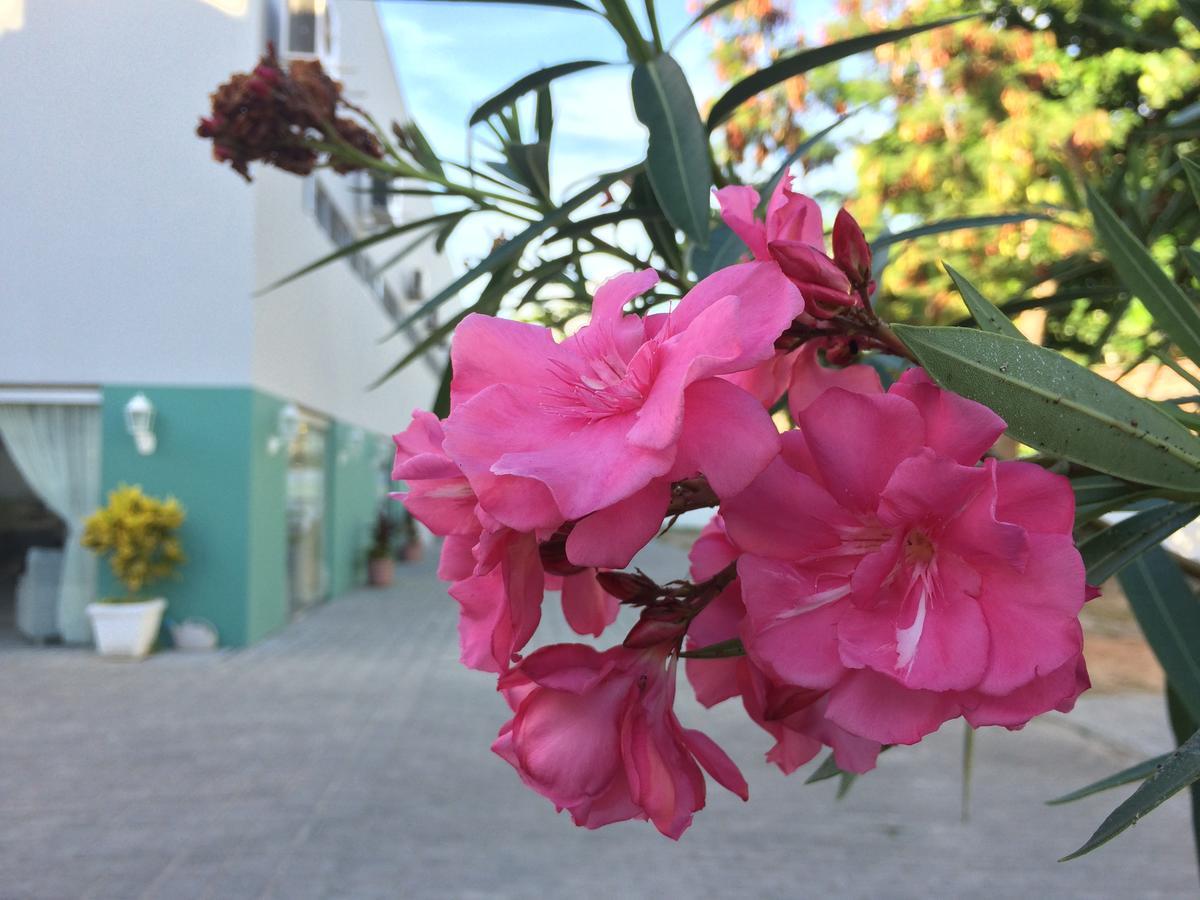 Scenarium Hotel Recife Exterior photo